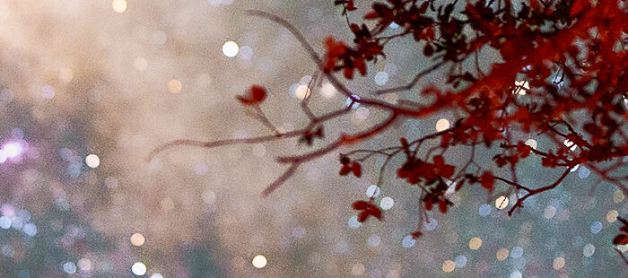 Prova Cega de Vinhos Via Vínica na Via Láctea